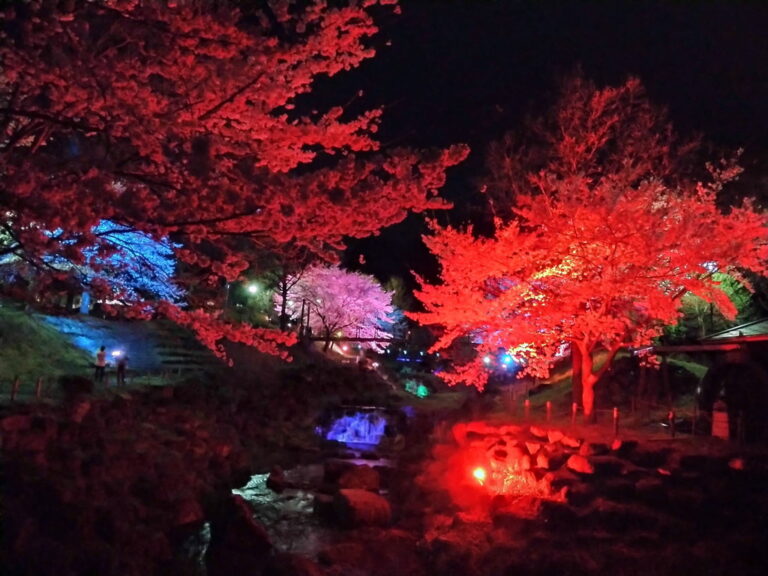 ライトアップ-1