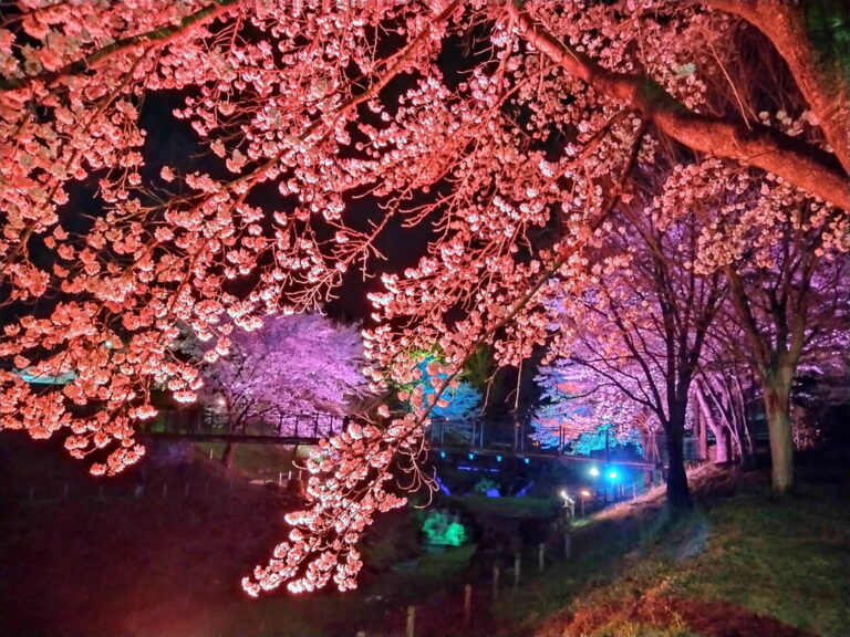 ライトアップ-2