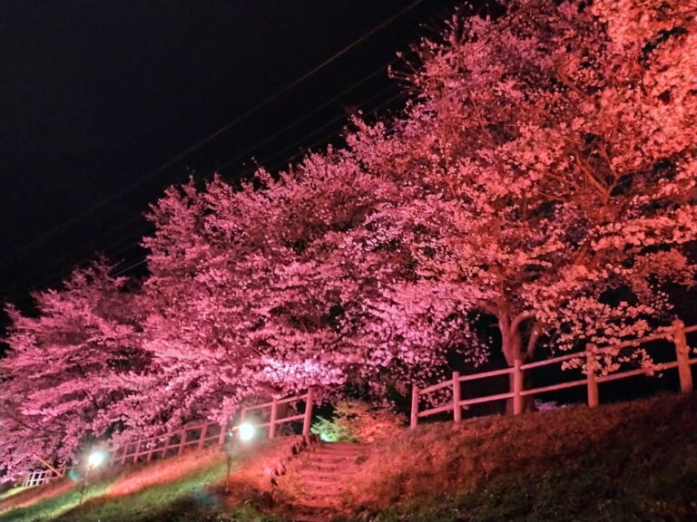 ライトアップ-5