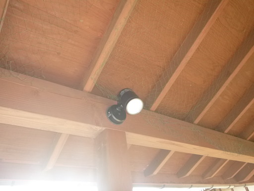 回廊スポットライト４